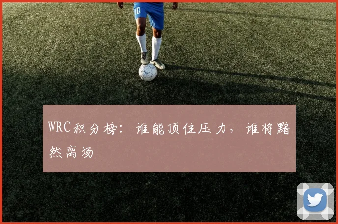 WRC积分榜：谁能顶住压力，谁将黯然离场