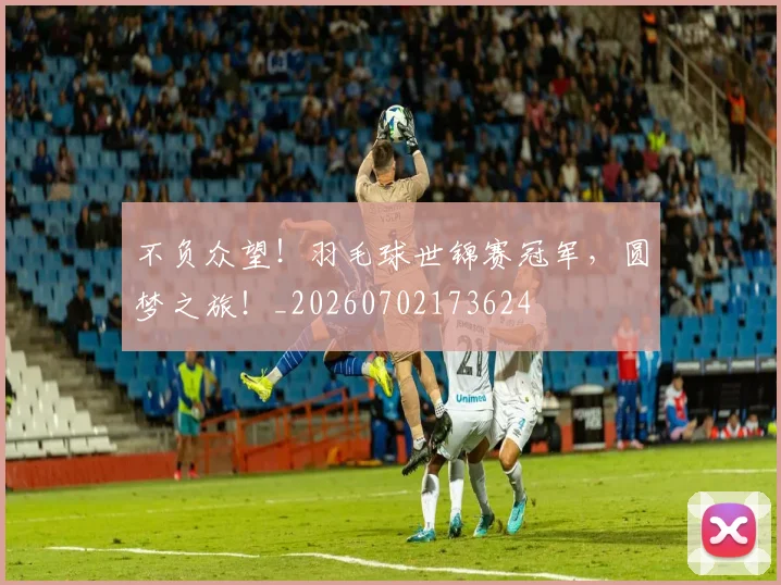 不负众望！羽毛球世锦赛冠军，圆梦之旅！_20260702173624